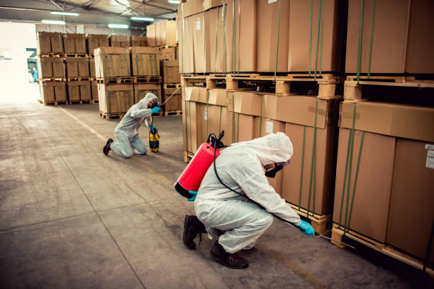 Best Pest Removal Services  in Forsyth, MT