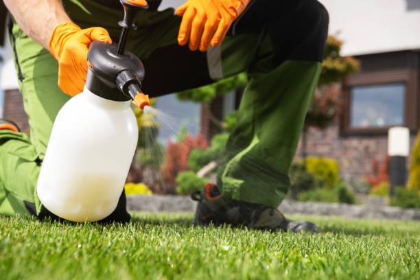 Best Termite Control Services  in Forsyth, MT