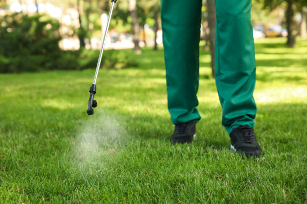 Best Cockroach Control Services  in Forsyth, MT