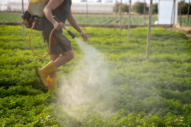 Best Pest Prevention Services  in Forsyth, MT
